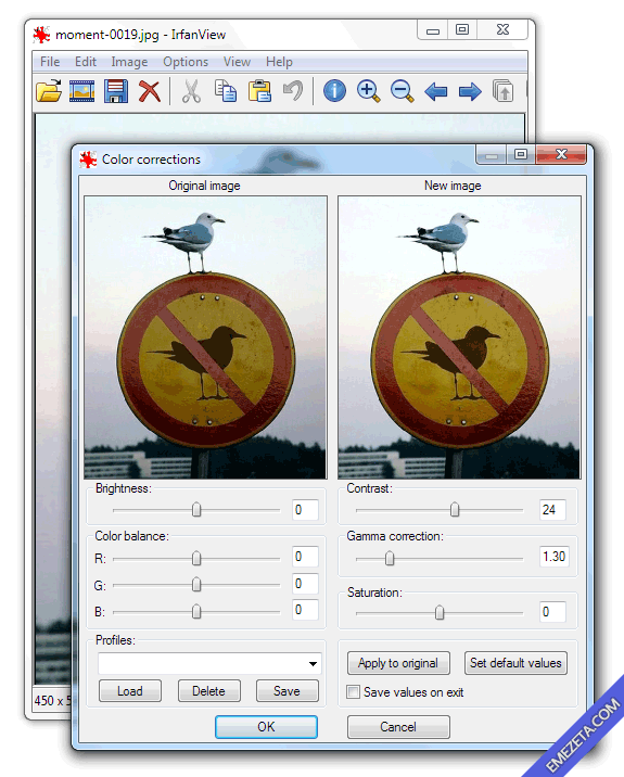 Aclarar imágenes con IrfanView: Brillo, Contraste, Saturación y Corrección gamma