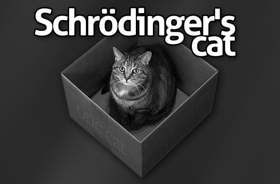 La paradoja del gato de Schrödinger (física)