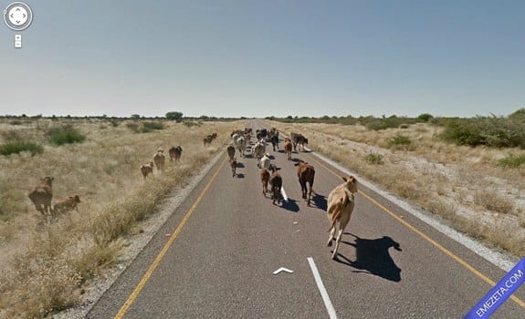 Google Street View: Nos persiguen